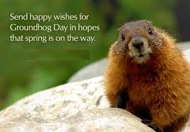 This post is probably the biggest database of groundhog day sayings in a single place. Groundhog Day Wishes Quotes Groundhog Day Happy Groundhog Day Proverbs