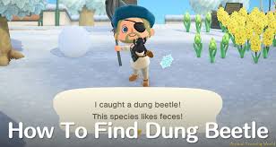 Animal Crossing: New Horizons: Snowman - How To Make A Perfect Snowboy,  Snowflake Diy Recipe List, Snowball Guide | Nintendo Life