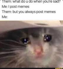 Em W At Oo U Cow En You Re Sao Me I Post Memes Them But You Always Post Memes Me Ifunny Memes Sword Art Online Meme Beetlejuice