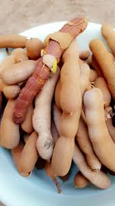 Fruit Du Tamarin Fruit Fruits And Vegetables Vegetables