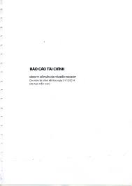 CÔNG TY CỔ PHẦN VẬN TẢI BIỂN VINASHIP Cho năm tài chính ...