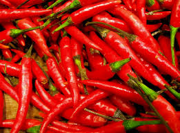 Image result for Capsicum frutescens