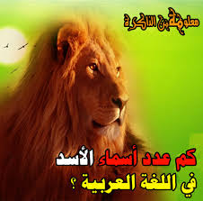 كم يبلغ عدد اسماء الأسد في اللغة العربية معلومة من الذاكرة