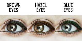 The Exact Eyeliner Color That Will Make Your Eyes Look Crazy Gorgeous Perfect Eyeliner Eyeliner Brown Eyes Colored Eyeliner