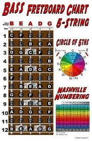 6 String Bass Fretboard Instructional Chart Poster Notes