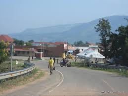 Image result for Orthochilus mechowii