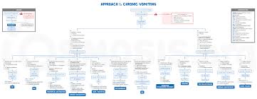 Image result for Chronic Functional Vomiting