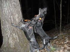 We did not find results for: 79 Hunting Ideas In 2021 Hunting Deer Hunting Tips Deer Hunting