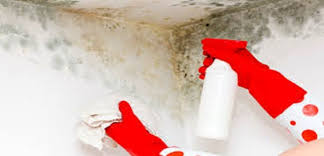 the inevitable mold stains on the walls discover how eliminate it definitively pagina 2 di 5 the mo taches de moisissure moissisure enlever les moisissures