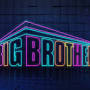 Big Brother 2021 from bigbrother.fandom.com