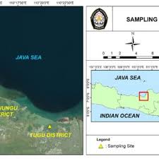 We are a leading manufacturer and exporter of latex medical disposables. Pdf Sponge Associated Fungi From A Mangrove Habitat In Indonesia Species Composition Antimicrobial Activity Enzyme Screening And Bioactive Profiling