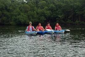 Canoeing canoe float trips are not guided. Blackwater River Kayak Tour 2021 Naples
