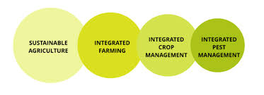 Integrated pest management (ipm) is an environmentally friendly, common sense approach to controlling pests. Stewardship Certis Europe