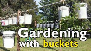 Cut a couple of inches off the end of the air hose. Gardening With 5 Gallon Buckets Youtube