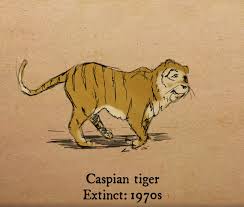 100 recently extinct animals. thoughtco, jan. 18 Animals That Became Extinct In The Last Century Greenpeace Uk