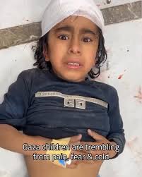 @RyanRozbiani's video Tweet