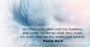 Countless recorded miraculous stories of people around the world. Psalm 91 4 Bible Verse Kjv Dailyverses Net