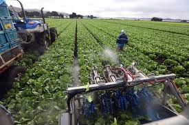 Image result for Agricultural Yellow 2000 Fleet