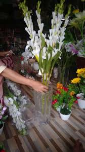 Sedap malam (polianthes tuberosa, bahasa melayu: Bunga Sedap Malam Sintetis Konstruksi Dan Taman 804353722