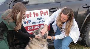 Trusted express vet care for your pet's unique needs. Animal Wellness Exams Veterinarian Near S4p Vet To Pet Mobile