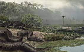 Le serpent est un animal qui inspire souvent la crainte, mais aussi la fascination. Titanoboa Le Plus Grand Serpent Du Monde Mangeait Des Crocodiles