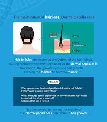 Medical conditions related to inappropriate hair growth whether it be an excess. Dermal Papilla Cell Banking Dnago