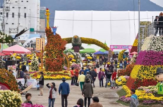 영광불갑산상사화축제 照片 1