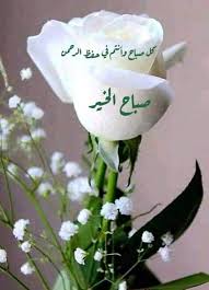 pin by waleed raed on صباح الخير good morning good morning image quotes good morning arabic good morning flowers