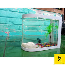 Aquarium ini dibuat dengan bentuk tabung, namun dengan alas berbaentuk oval. Jual Akuarium Aquarium Unik Ikan Hias Ikan Cupang 00110 Kota Yogyakarta Izi Cell Tokopedia