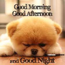 Good Morning Good Afternoon And Good Night Glitter Graphic Greeting Graphics Morning Image Quotes A Good Afternoon Quotes Afternoon Quotes Good Morning Puppy