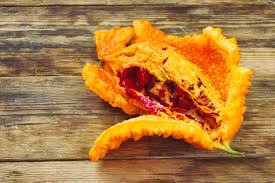 Image result for Momordica pterocarpa