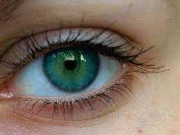 Green aqua is the name of one of the eye colors you can choose for a male character or female character during character creation in fallout 4. What Color Are Your Eyes Rare Eye Colors Rare Eyes Beautiful Eyes Color
