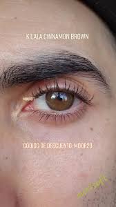 Image result for Beige 1988 ARO