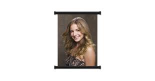 Emily Vancamp Sexy Hot Actress Fabric Wall Scroll Poster (16 X 21) Inches  : Amazon.ca: Home