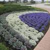 Recently, (3) _, the dutch flower growers have been having difficulties in coping with the tough competition from abroad. 1