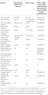 Frontiers Animal Models For Covid 19 More To The Picture Than Ace2 Rodents Ferrets And Non Human Primates A Case For Porcine Respiratory Coronavirus And The Obese Ossabaw Pig Microbiology