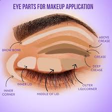 The crease is in the middle between the eyelid and brow bone. How To Apply Eyeshadow Like A Pro Sugar Cosmetics Blog