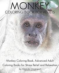 Color online with this game to color animals coloring pages and you will be able to share and to create your own gallery online. Amazon Com Monkey Coloring Book For Adults Monkey Coloring Book Advanced Adult Coloring Books For Stress Relief And Relaxation Realistic Animals Coloring Book Volume 11 9781533468857 Davenport Amanda Books