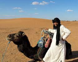 When a camel does it, it's not the most comfortable thing. Camel Growl Vocalizations Sound Xplorer
