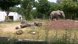 Polska będzie prowadziła do przerwy? F3efhjd9467gom