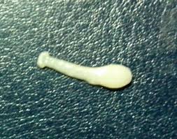 konsultacii veterinarnogo specialista 2 stranica 5 guns ru talks