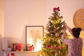 Maybe you would like to learn more about one of these? Deux Chats Un Sapin De Noel Carnet Prune Blog Lifestyle