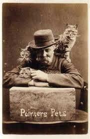 Image result for lolcats