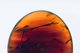 You can use ambertools21 without amber is developed in an active collaboration of david case at rutgers university, tom cheatham at. How To Use Amber For Good Feng Shui