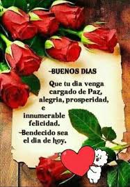 ️ soy muy feliz desde que entraste en mi vida ahora todo es una maravilla, gracias por hacer mis días y mis noches una alegría. Imagenes De Buenos Dias Frases Famosas