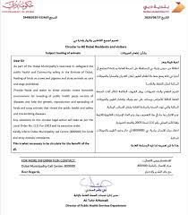 Learn more about the benefits of pest control. Feeding Stray Animals Will Result In Fines In Dubai Lovin Dubai