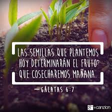Pin On Palabras De Vida Versiculos Biblicos