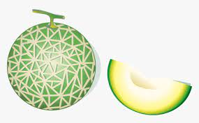 Check spelling or type a new query. Cantaloupe Hami Melon Fruit Gambar Buah Melon Kartun Hd Png Download Transparent Png Image Pngitem