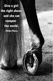 In giro si sentono già troppe teorie svirgolate, come quella dei trenta cavalli perduti da un anno all'altro. 100 Idee Su Fabiana Gariglio Animali Foto Di Cavalli Cavalli Bellissimi