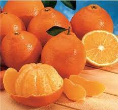 Honeybell Tangelos Honeybell Honeybell Oranges Can Dogs Eat Oranges